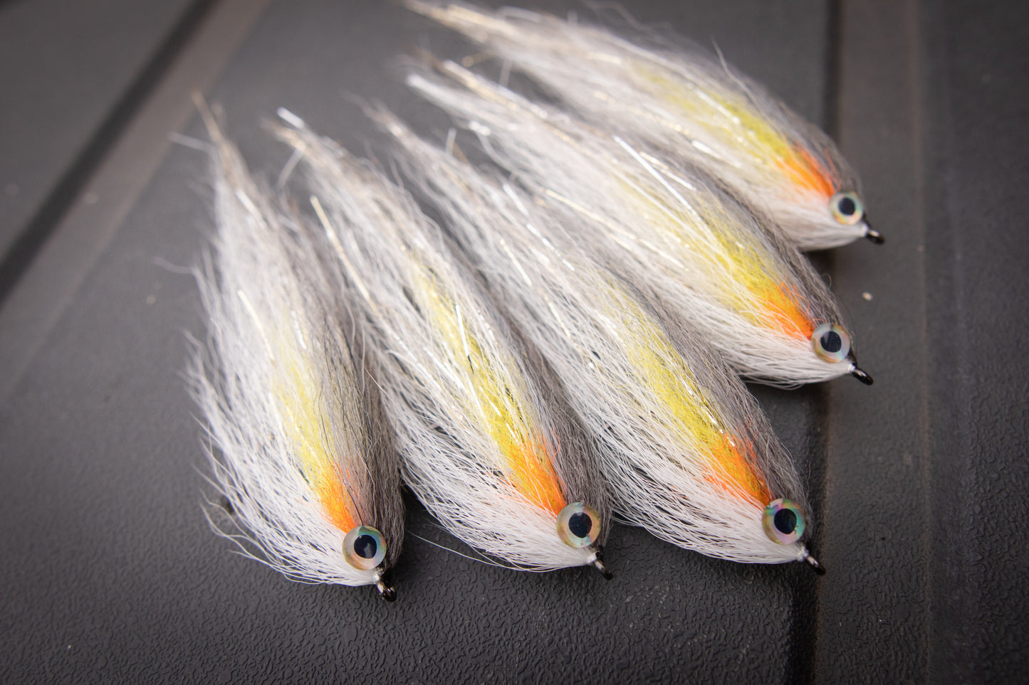 N&B Hollow - Firecracker roach 5-6"