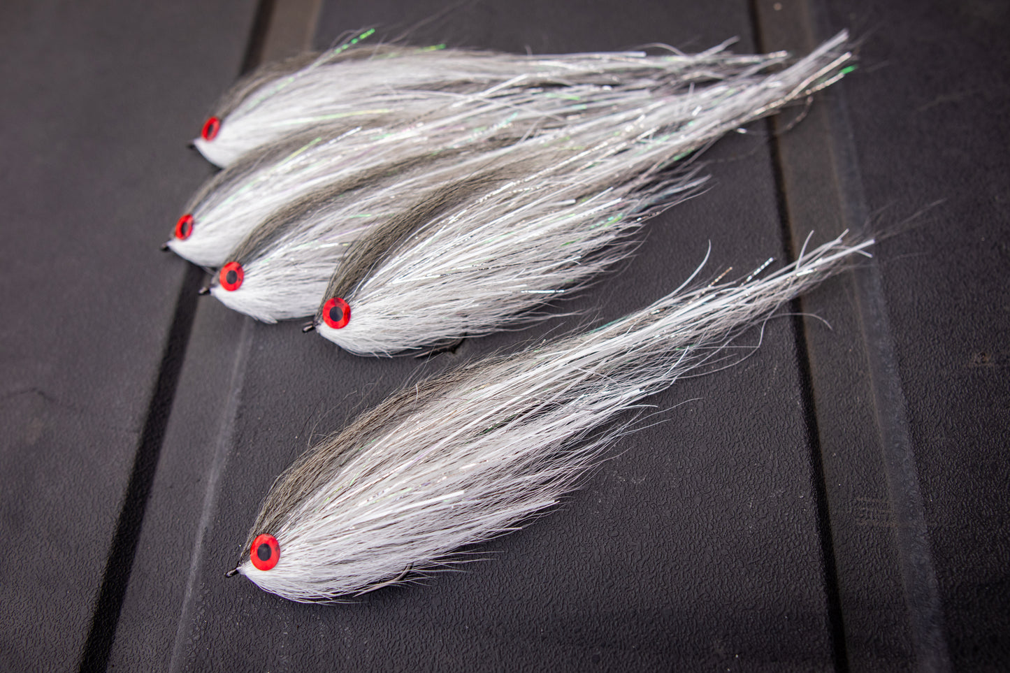 Flashy Hollow - White roach 8"